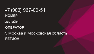 9039670951